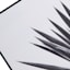 Tracey Boyd Framed Aloe Canvas Wall Art, 36x24