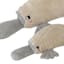 Tiny Dreamers Plush Platypus, Small