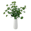 Tracey Boyd Eucalyptus in White Ceramic Pot, 24"
