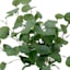 Tracey Boyd Eucalyptus in White Ceramic Pot, 24"