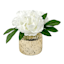 Providence White Peony in Glass Planter, 7"