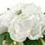 Providence White Peony in Gold Glass Planter, 8"