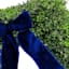 Providence Square Boxwood Wreath, 18"