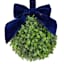Providence Boxwood Kissing Balls, 6"