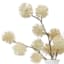 Cream Pom-Pom in Ceramic Pot, 12"