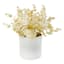 Bleached Eucalyptus in Melamine Pot, 9"