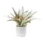 Fern in Melamine Pot, 10.5"
