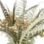 Fern in Melamine Pot, 10.5"