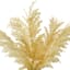 Honeybloom Pampas Grass in Ceramic Pot, 20"