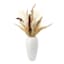 Crosby St. Dried Pampas Grass in Ceramic Vase, 24"
