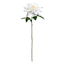 Willow Crossley White Dahlia Floral Stem, 24"