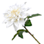 Willow Crossley White Dahlia Floral Stem, 24"