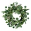 Willow Crossley Eucalyptus & Fir Wreath, 20"