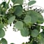 Willow Crossley Eucalyptus & Fir Wreath, 20"