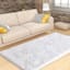 (C200) Eve White Shag Accent Rug, 3x5