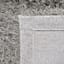 (C199) Eve Silver Shag Accent Rug, 3x5