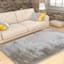 (C199) Eve Silver Shag Accent Rug, 3x5