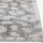 Fellicity Silver Leopard Print Accent Rug, 2x4