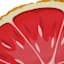 Grapefruit Slice Outdoor Throw Pillow, 14x26