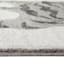 (B853) Found & Fable Elle Tiger Woven Area Rug, 5x7