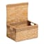 Joan Water Hyacinth Rectangle Storage Basket with Lid, Medium