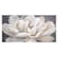 Providence White & Gold Floral Canvas Wall Art, 40x20