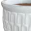 White Crown Ceramic Outdoor Planter, Extra Large