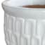 White Crown Ceramic Outdoor Planter, Medium