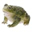 Grim Gardens Green Halloween Toad Decor, 3.5"