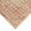 (B858) Honeybloom Rune Red Multi Accent Rug, 3x5