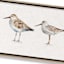 Ty Pennington Framed Bird Canvas Wall Art, 24x8