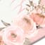 Tiny Dreamers Swan Princess Canvas Wall Art, 11x14
