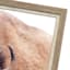 Ty Pennington Glass Framed Bison Print Wall Art, 26x38