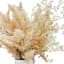 Pampas with Mixed Leaves in Ceramic Pot, 16"