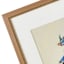 Providence Glass Framed Blue Jay Print Wall Art, 25"