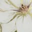 Providence Magnolia Canvas Wall Art, 16"