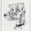 Providence Glass Framed Dog Sketch Print Wall Art, 13x17