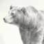 Ty Pennington Glass Framed Bear Wall Art, 26"