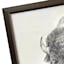 Ty Pennington Glass Framed Bison Print Wall Art, 26"