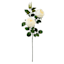 Willow Crossley Coconut Milk Rose Floral Stem, 27"