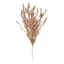 Honeybloom Tan Bunny Tail Bush, 22"