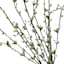White Pussy Willow Floral Bush, 23"