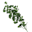 Found & Fable Gingko Leaf Spray, 34"