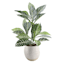 Honeybloom Striped Leaves in Ceramic Pot, 21.5"