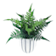 Ty Pennington Leather Leaf Fern in Ceramic Pot, 11"