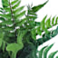 Ty Pennington Leather Leaf Fern in Ceramic Pot, 11"