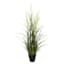 Potted Pampas Grass Bush, 45"