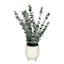 Tracey Boyd Eucalyptus in White Ceramic Pot, 19"