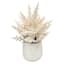 Pampas Grass in Ceramic Pot, 10"