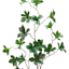 Willow Crossley Green Bell Leaves Stem, 29.5"